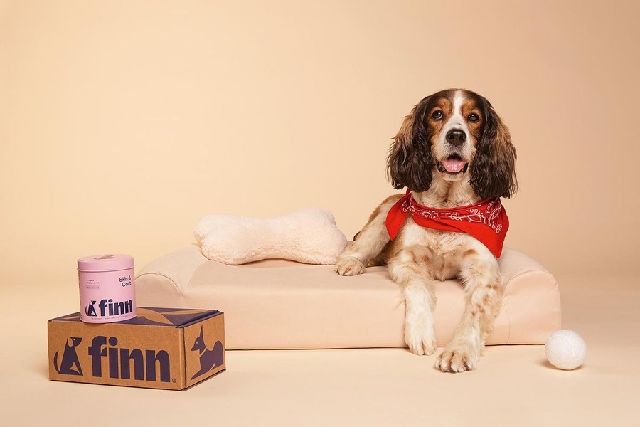 A high-quality studio shot of a dog sitting next to a branded supplement tin and product packaging box on a plain background.